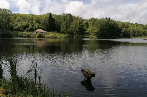 BEXBERGER notaires associés