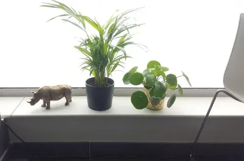 Benoit MORIN Notaire