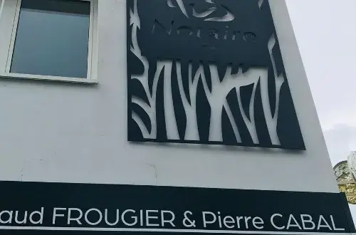 Arnaud FROUGIER & Pierre CABAL